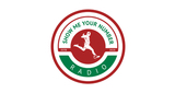 Logo Smyn Online Radio