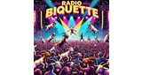 Logo Radio Biquette