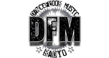 Logo DFM Radio