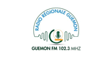 Logo Radio Guemon 102.3 FM