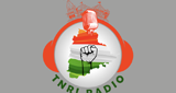 Logo Telangana
