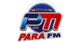 Logo Rádio Pará Fm 87.9