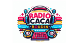 Logo RADIO CACA BOUDIN