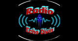Logo Radio Echo Divin
