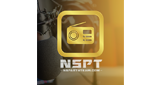 Logo Ns Party Team