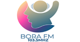 Logo BORA FM