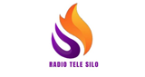 Logo Radio Tele Silo
