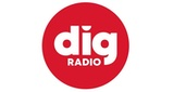 Logo DIG RADIO Sud Vendée