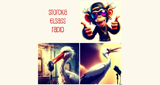 Logo Storcka Elsassradio