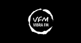 Logo VibraFM