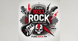 Logo 103.1 pure rock fm