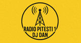 Logo Radio Pitesti 1 Popular