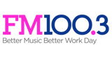 Logo FM 100.3
