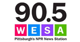 Logo WESA