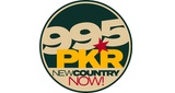 Logo 99.5 PKR