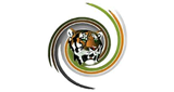 Logo Tiger FM