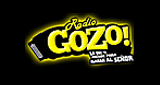 Logo Radio Gozo TX