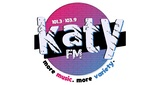 Logo 101.3 & 103.9 Katy FM