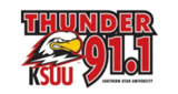 Logo Thunder 91