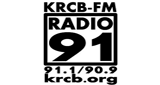 Logo Radio 91