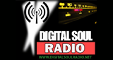Logo Digital Soul Radio Network