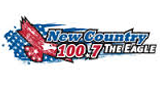 Logo The Eagle
