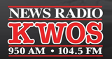 Logo News Radio 950