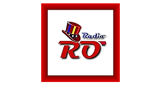 Logo Radio RO USA