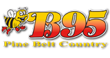 Logo B-95
