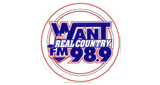 Logo WANT FM