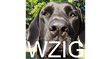 Logo WZIG 104.1 FM