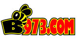 Logo B973