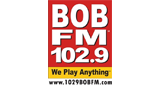 Logo 102.9 Bob FM