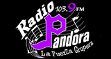 Logo Radio Pandora 103.9 FM