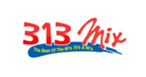 Logo 313TheMix