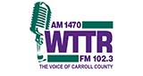Logo WTTR
