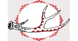Logo KIDE Radio