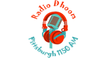 Logo Radio Dhoom