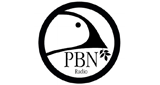Logo Praise Broadcast Network