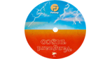Logo The Disco Paradise - Concord