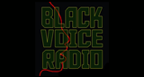 Logo Black Voice Radio