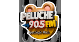 Logo Peluche Fm 90.5 Apatzingán Mich.