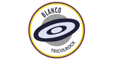Logo Blanco Tricolrock