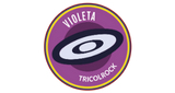 Logo Violeta Tricolrock