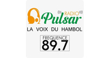 Logo Radio Pulsar CI
