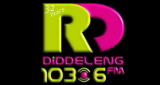 Logo Radio Diddeleng