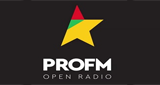 Logo ProFM