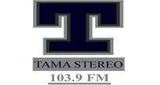Logo Tama Stereo