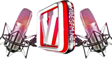 Logo Vibes FM