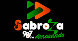 Logo SabroZa 98.7 FM